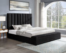 Valencia - Platform Storage Bed BLACK, GRAY, BEIGE