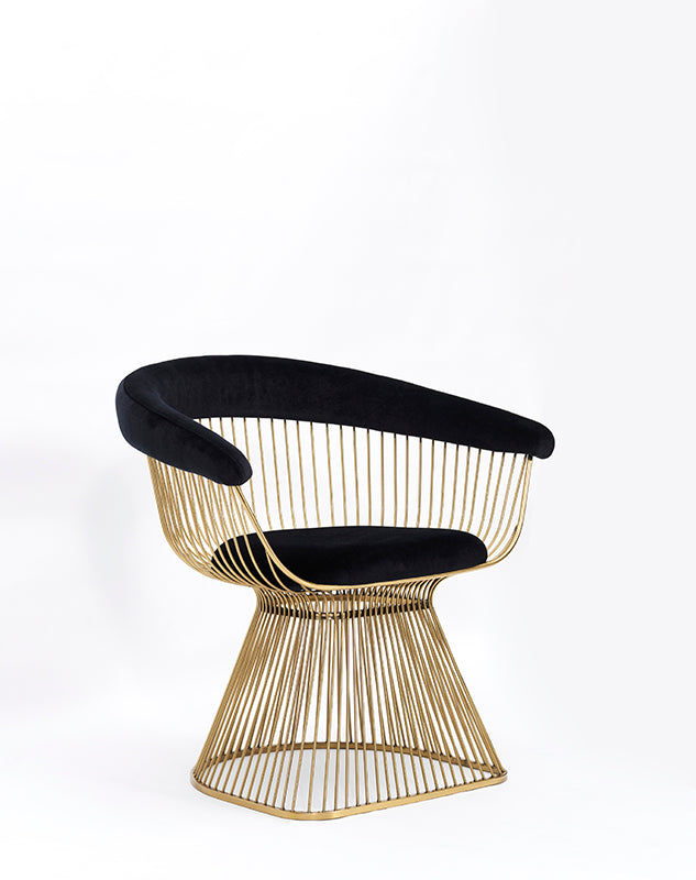 Modrest Chandler Black Velvet & Gold Dining Chair