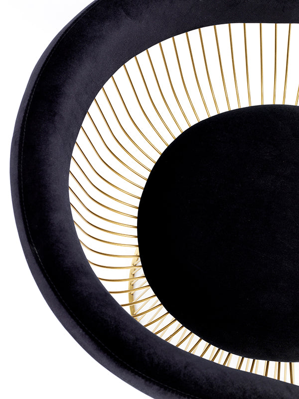 Modrest Chandler Black Velvet & Gold Dining Chair